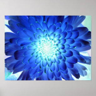 Glänzendes blaues Blumenmakro. Negativ des Gelbs Poster