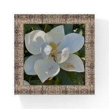 Glas Papergewicht mit schönem weißem Magnolium
