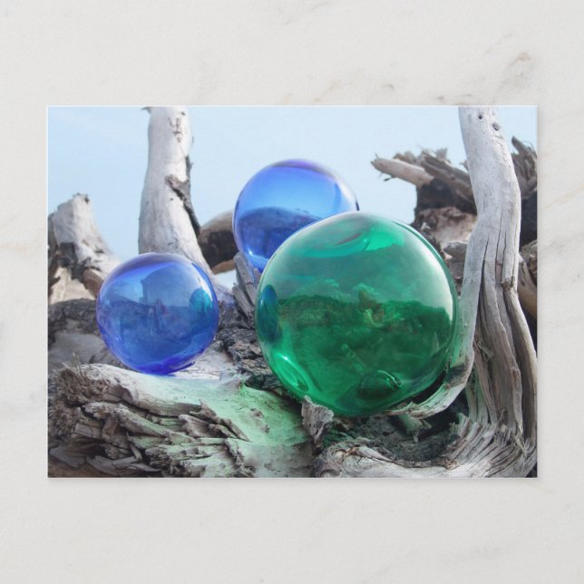 Glas schwimmt auf Treibholz Postkarte (Vorderseite)