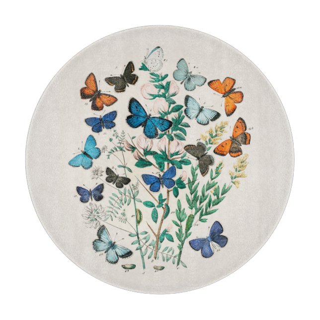 GLASCHOPPER : ANTIKENDRUCK : SCHALTFLÄDEN SCHNEIDEBRETT (Vorderseite)