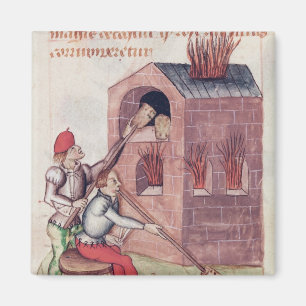 Glasgebläse, von 'Tractatus de Herbis' Magnet