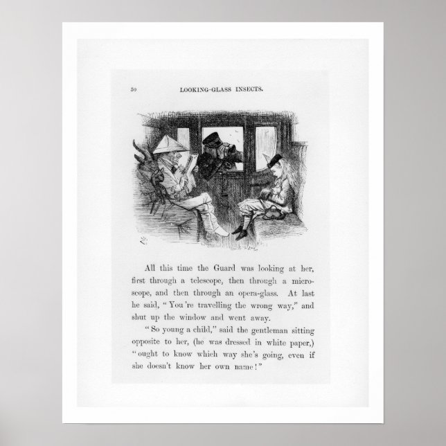 Glasinsekten, Illustration von "Alice Th. Poster (Vorne)