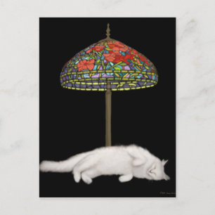 Glaskatze Sonnenlampe Postkarte