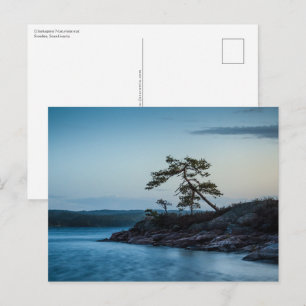 Glaskogen Schweden Postkarte