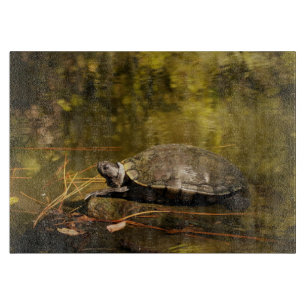 Glass Cutting Board - Schildkröte im Teich Schneidebrett