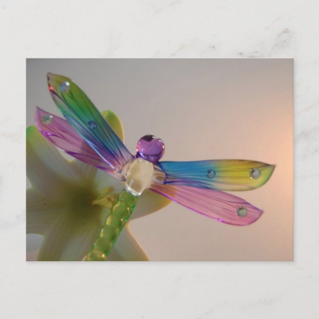 Glass Dragonfly Postkarte (Vorderseite)