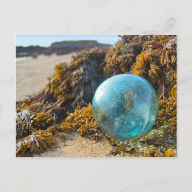 Glass Float auf Kelp Postkarte (Vorderseite)