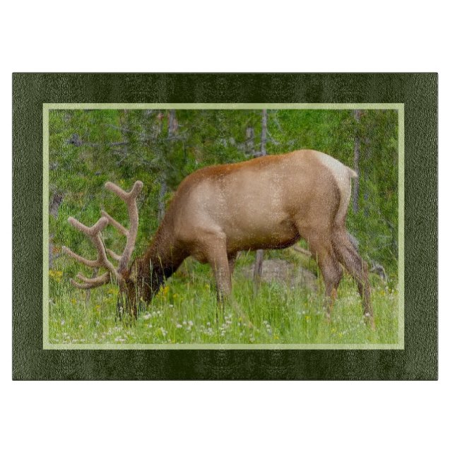 Glass Kitchen Cutting Board - Yellowstone Elch Schneidebrett (Vorderseite)