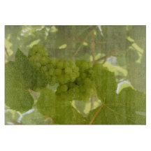 Glasspanplatte, Weinberg, Feinschmecker, grün