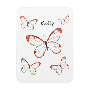 Glasswing-Schmetterling-Cartoon Magnet