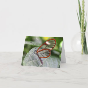 Glasswing Schmetterling notecard Karte