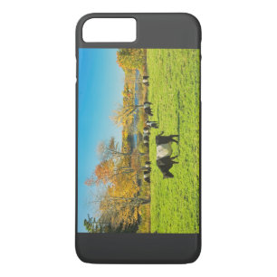 Glastagekühe Weiden auf Gras im Herbst title_seo2