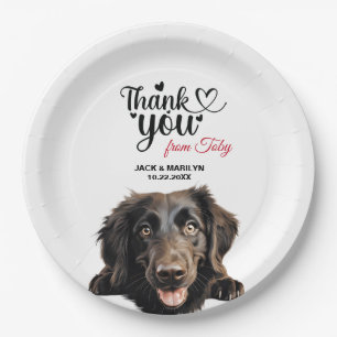 Glattcoat Retriever Pappteller