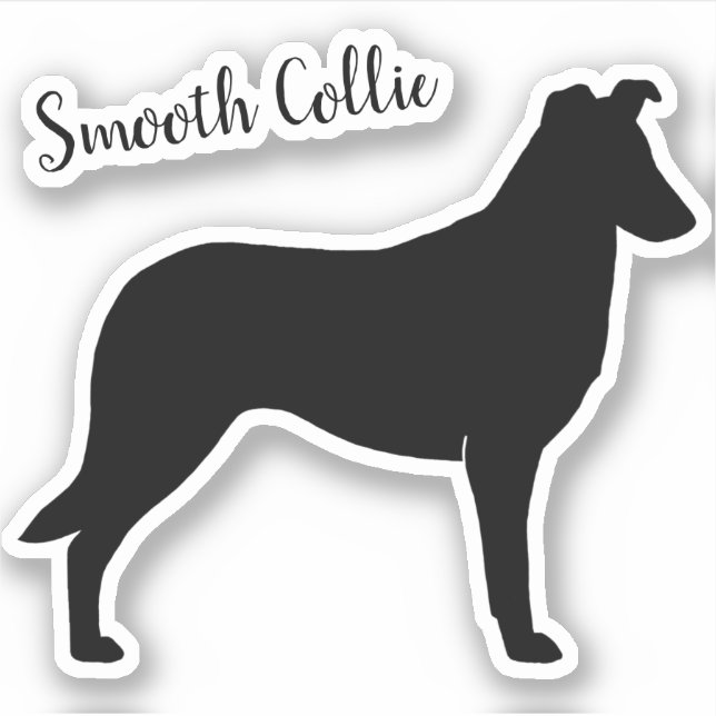 Glätte Collie Silhouette Hunde Rasse Vinyl Sticker (Vorderseite)