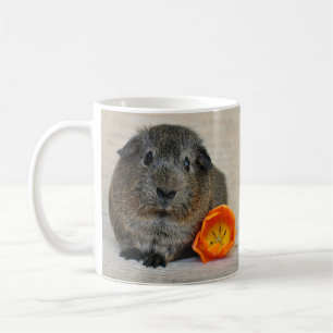 Glätte, Kurzhaar, Agouti-Guinea Schweinchen und Mo Kaffeetasse