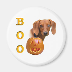 Glatter Dackel Boo - Magnet