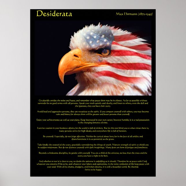 Glattkopfadler 1 Poster (Vorne)