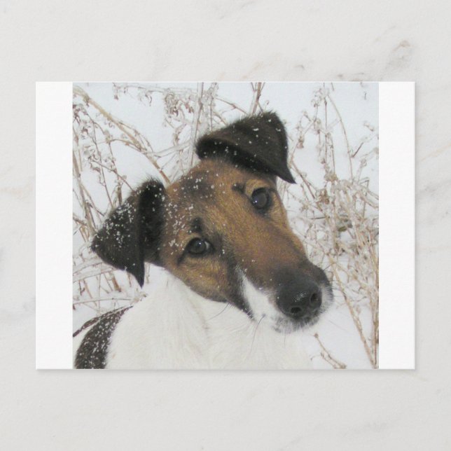 Glattleder Postkarte (Vorderseite)