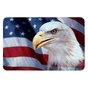Glatzenkopf Amerikanische Unabhängigkeitstag Magnet