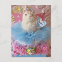 Glaube Bunny Postcard