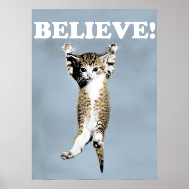Glaube Katze Poster (Vorne)