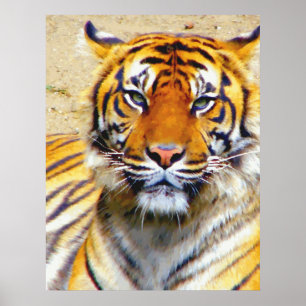 Glaube_Poster Poster