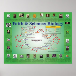 Glaube und Wissenschaft: Biologie (Krebs-Zyklus) Poster