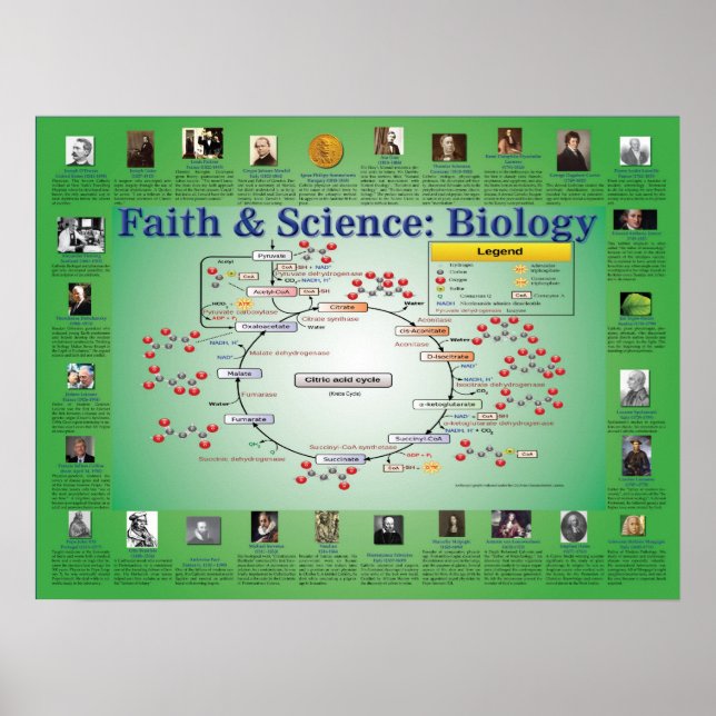 Glaube und Wissenschaft: Biologie (Krebs-Zyklus) Poster (Vorne)