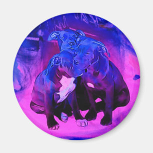 Glauben-Hoffnung u. Wohltätigkeit, missbrauchte Magnet