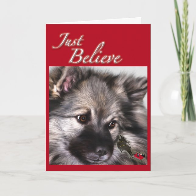 "Glauben Sie einfach" Keeshond-Weihnachtskarte Feiertagskarte (Vorderseite)
