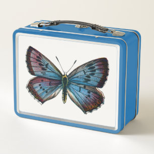 Glaucopsyche arion - The Large Blue Butterfly Metall Brotdose