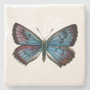 Glaucopsyche arion - The Large Blue Butterfly Steinuntersetzer