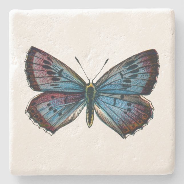 Glaucopsyche arion - The Large Blue Butterfly Steinuntersetzer (Vorderseite)