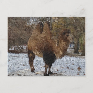 Glazed Camel Art Postkarte