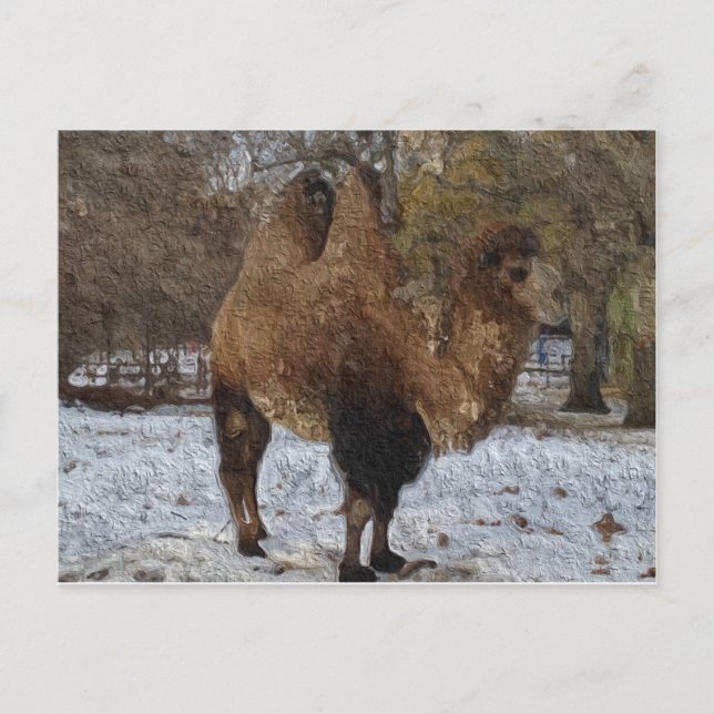 Glazed Camel Art Postkarte (Vorderseite)