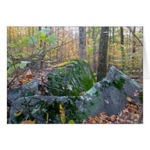 Glazial- Flusssteine Montgomery County Pennsylania