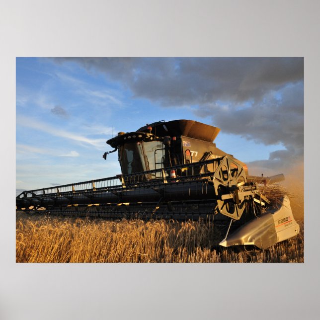 Gleaner S77 Print kombinieren Poster (Vorne)