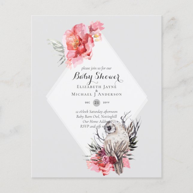 GLEICHE BUDGET Barn OWL Babydusche Einladung Flyer (Vorne)