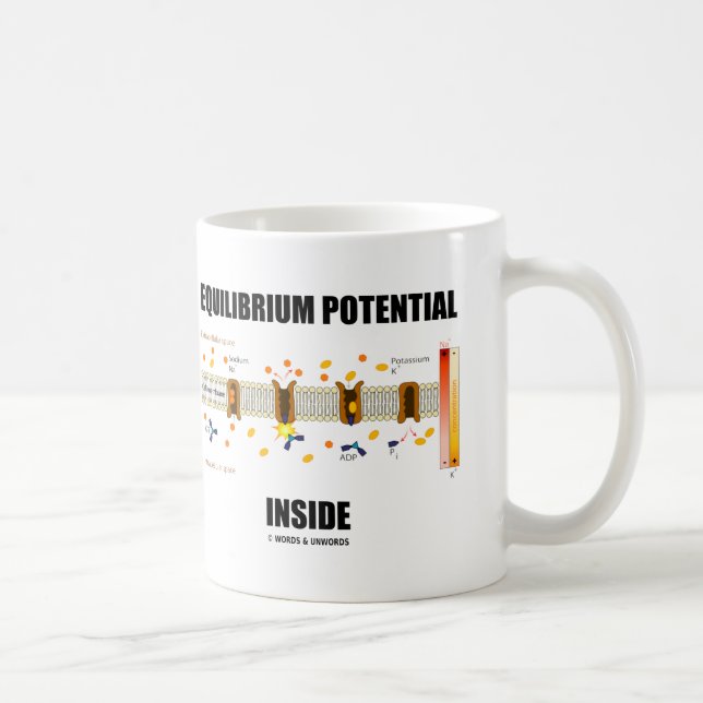 Gleichgewichts-Potenzial-Innere (aktiver Kaffeetasse (Rechts)