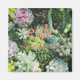 Gleichgewichtsmagnet Magnet