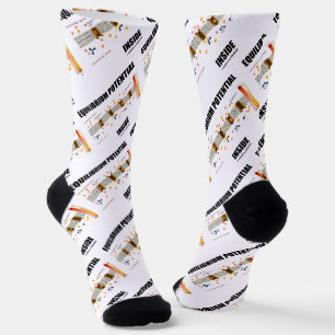 Gleichgewichtspotenzial im aktiven Verkehr Socken