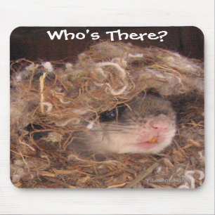 Gleithörnchen Mousepad