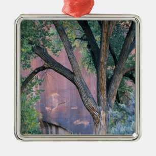 Glen Canyon National Recreation Area, Utah. USA. Ornament Aus Metall