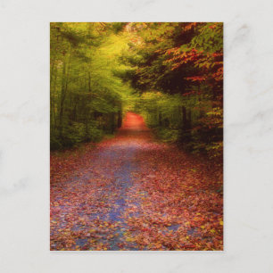 Glen Forest Postkarte