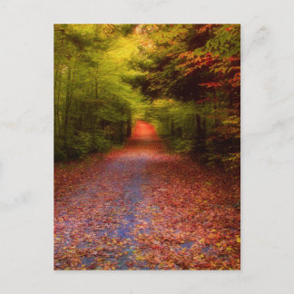 Glen Forest Postkarte