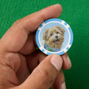 Glen of Imaal Terrier Painting - Original Dog Art Pokerchips