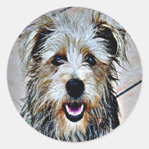 Glen of Imaal Terrier Runder Aufkleber
