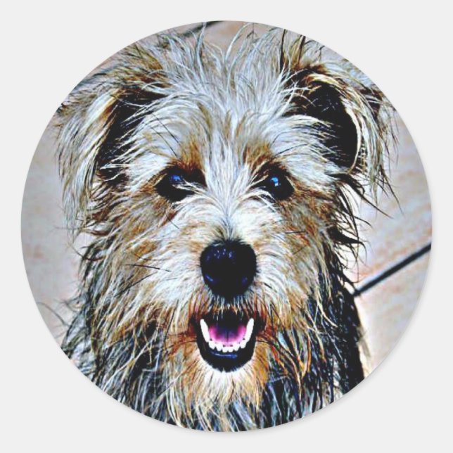 Glen of Imaal Terrier Runder Aufkleber (Vorderseite)