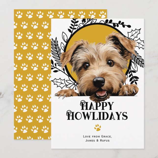 Glen von Imaal Terrier Weihnachten (Vorne/Hinten)