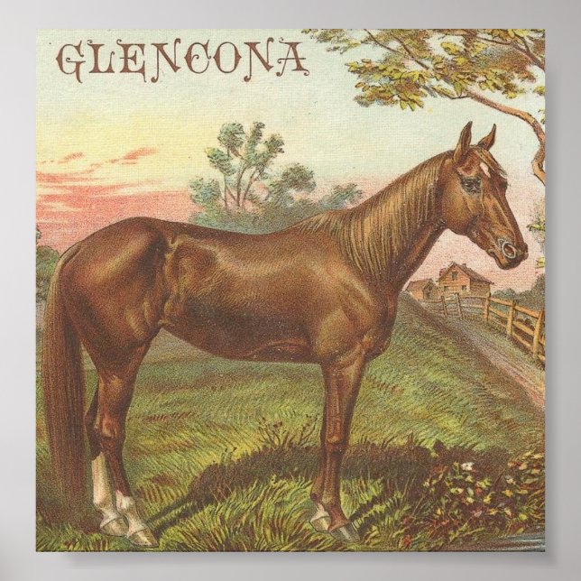 Glencona Poster (Vorne)